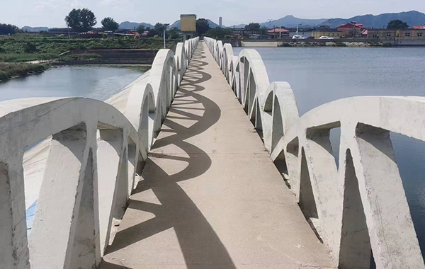 秦皇島北戴河新區(qū)飲馬河流域農村生活污水治理項目（一期）
